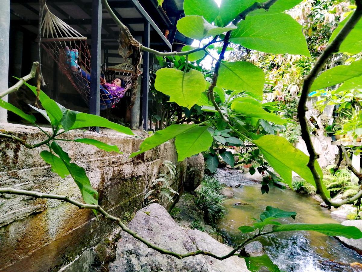 แม่อุ๊ยโฮมสเตย์&Mae Uai Homestay Ban Pok Nai Buitenkant foto